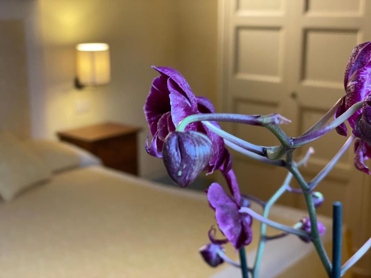 Altesino Suites Montalcino Eksteriør bilde